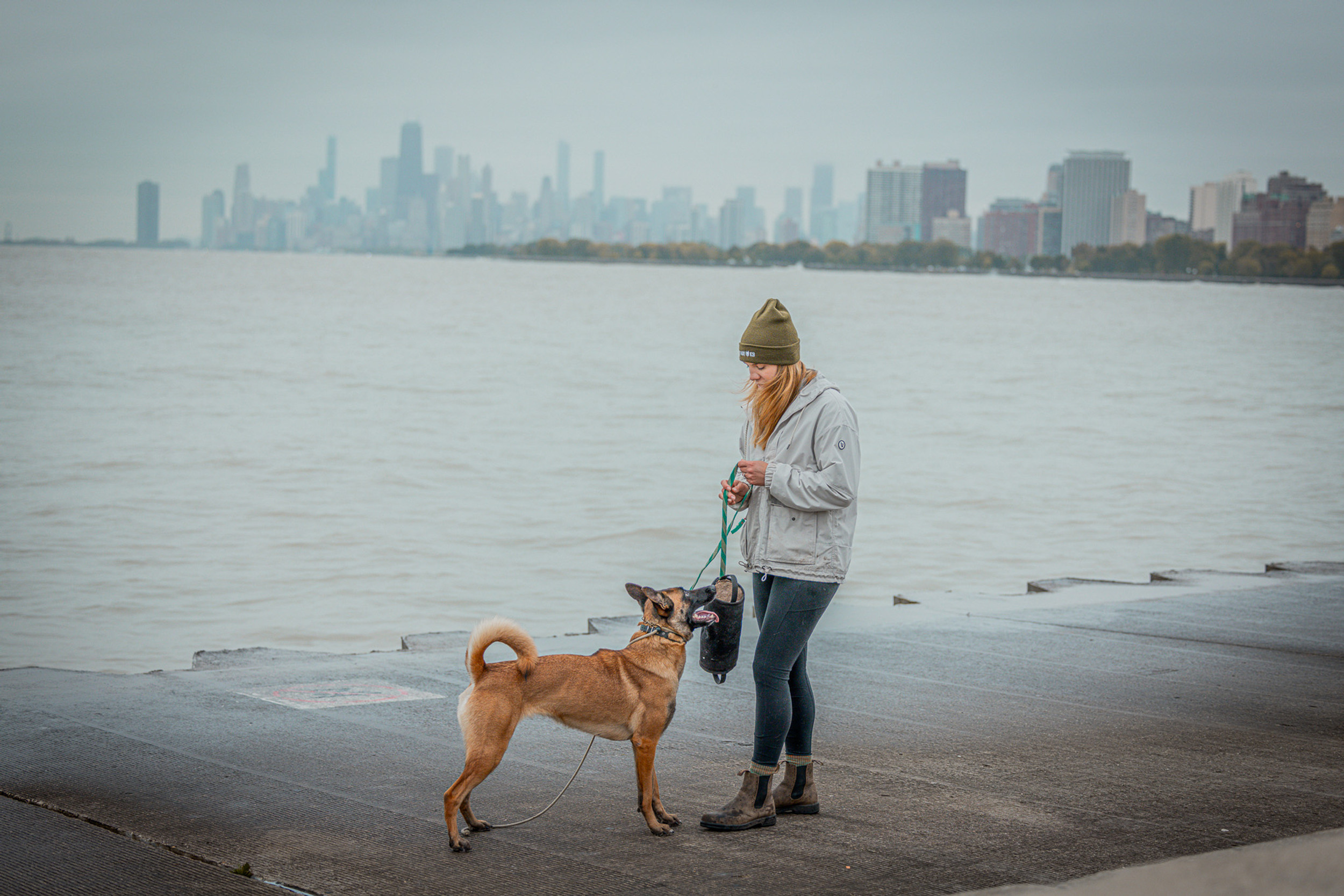 Found Chicago Boarding & Training Center | Chicago Dog Training ...