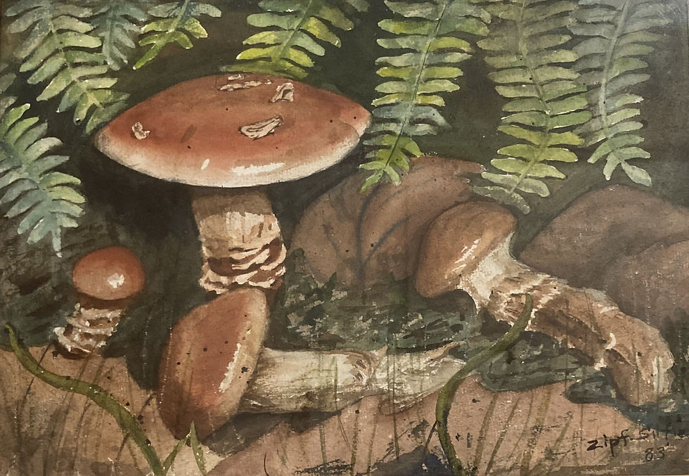 Mushrooms