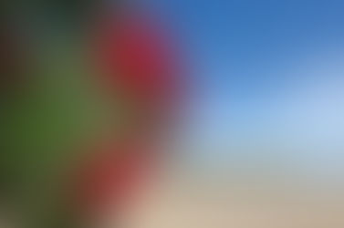 December 2022 Update