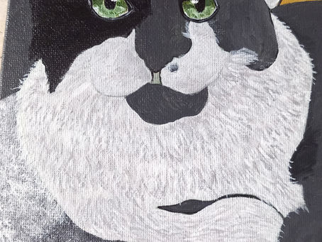 Cats cont ...