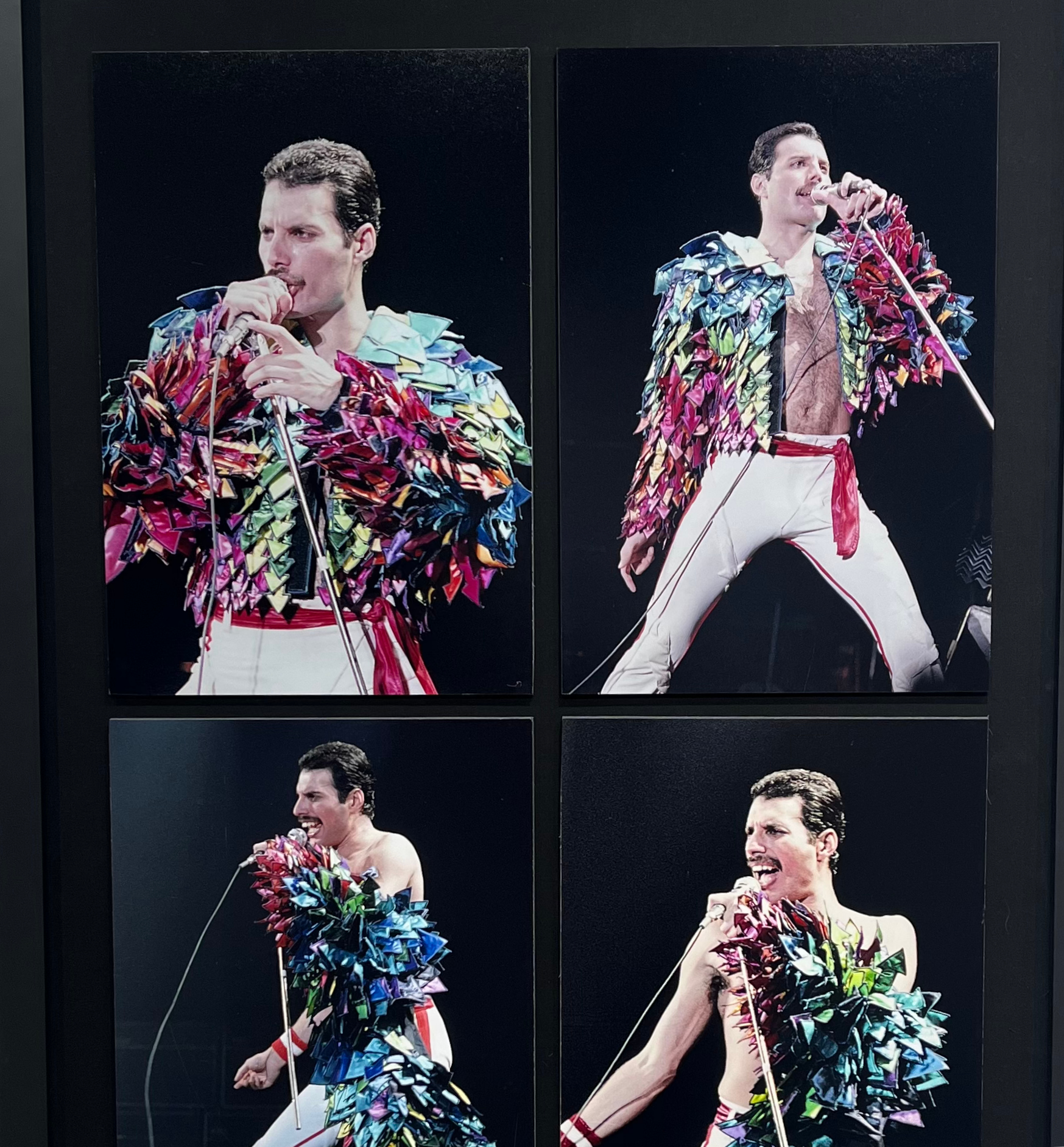 Freddie collage 34x45 -1/10