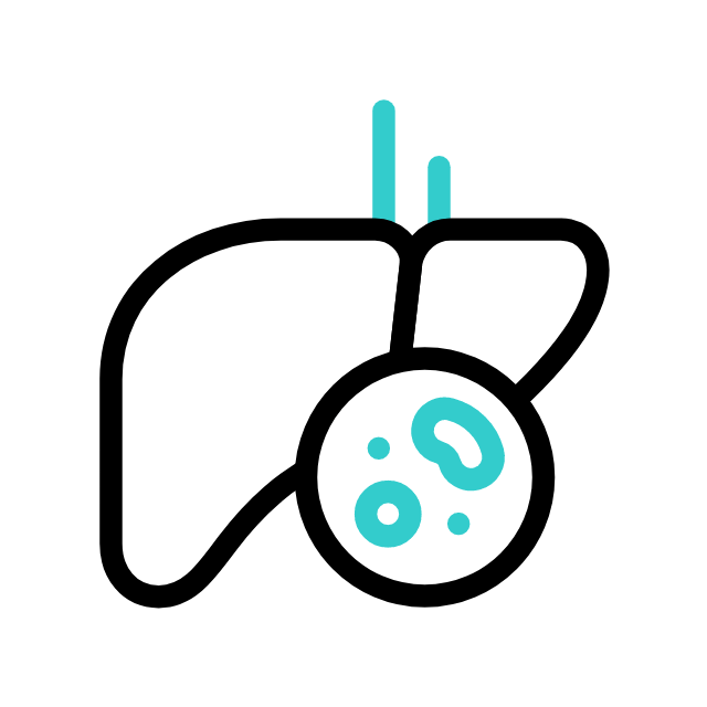 liver.gif