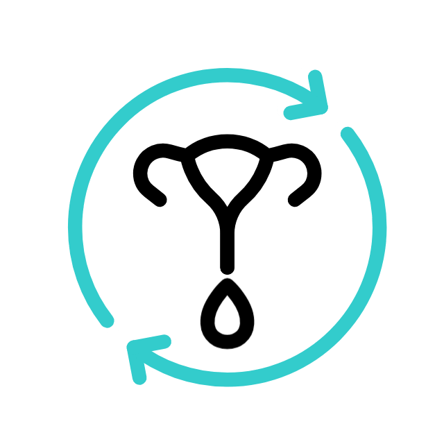 menstruation-cycle.gif