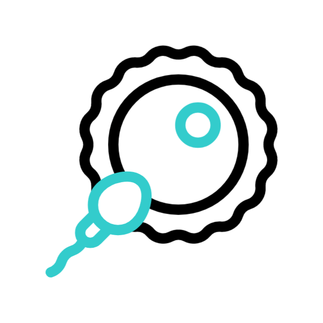 sperm-egg-fertilization.gif