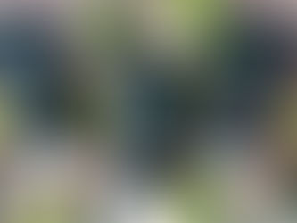 From flexible hold with mesh texture, to strong hold and matte finish, These versatile styling produ