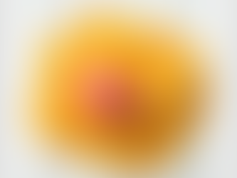 ikoo's Pocket Size "Orange Blossom" Brush. #amazing