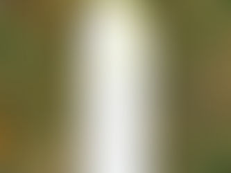 How Green Is The Keratin Use At Your Salon?! Natura Keratin Available At Tangles. Uses No Artificial