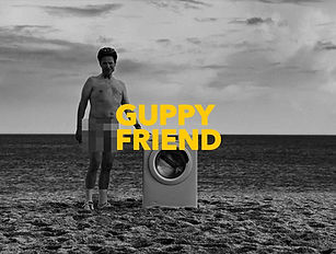 GUPPY YELLOW 1.jpg
