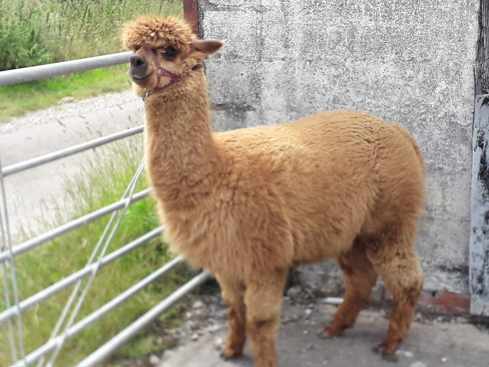 What are you looking at?