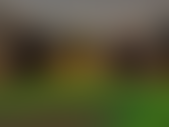 Roblox Vampire Hunters 3 Toy Background