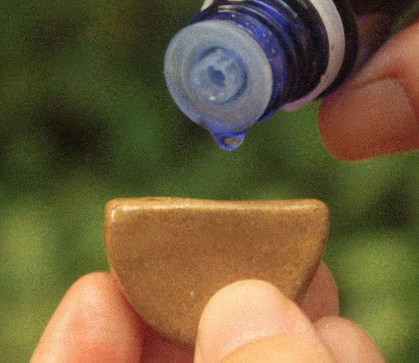 Miniatura: Óleos Essenciais