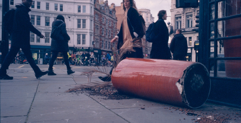 A plant pot knocked over in the street.