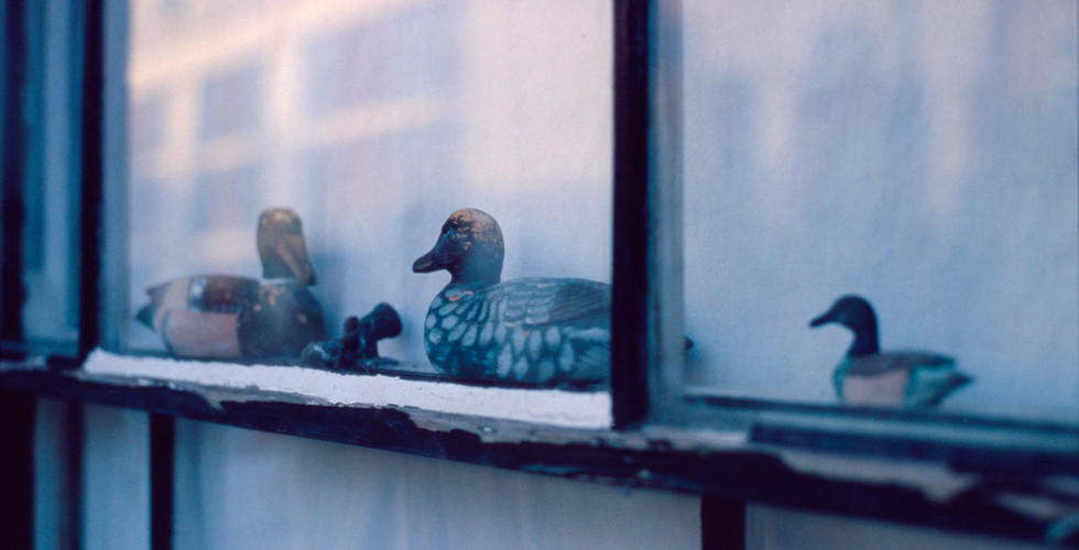 Still Life of ducks on a windowframe.