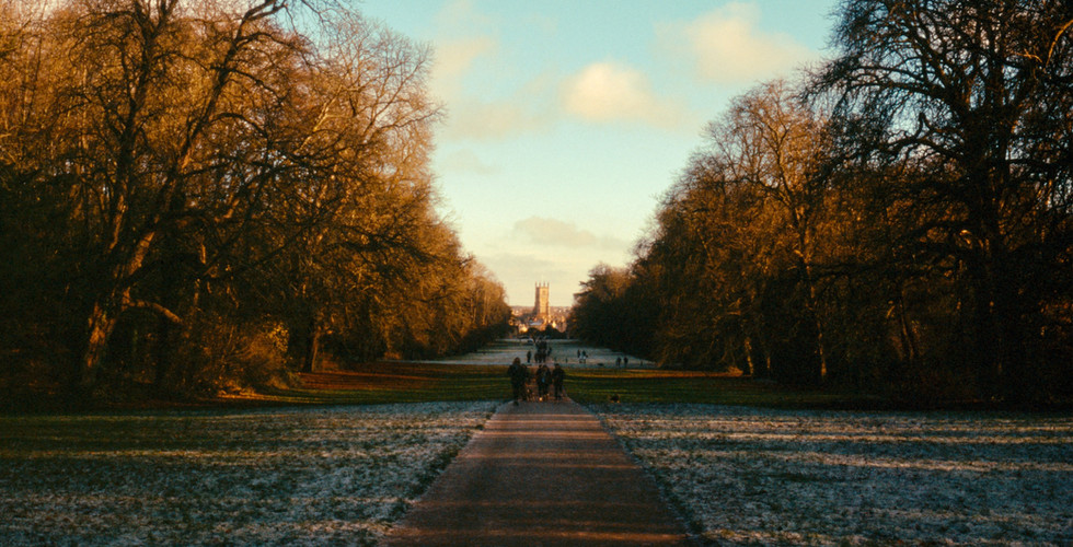 The Long Walk - Cirencester.