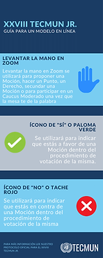 TECMUN DELEGADOS GUÍA (1)-1.png
