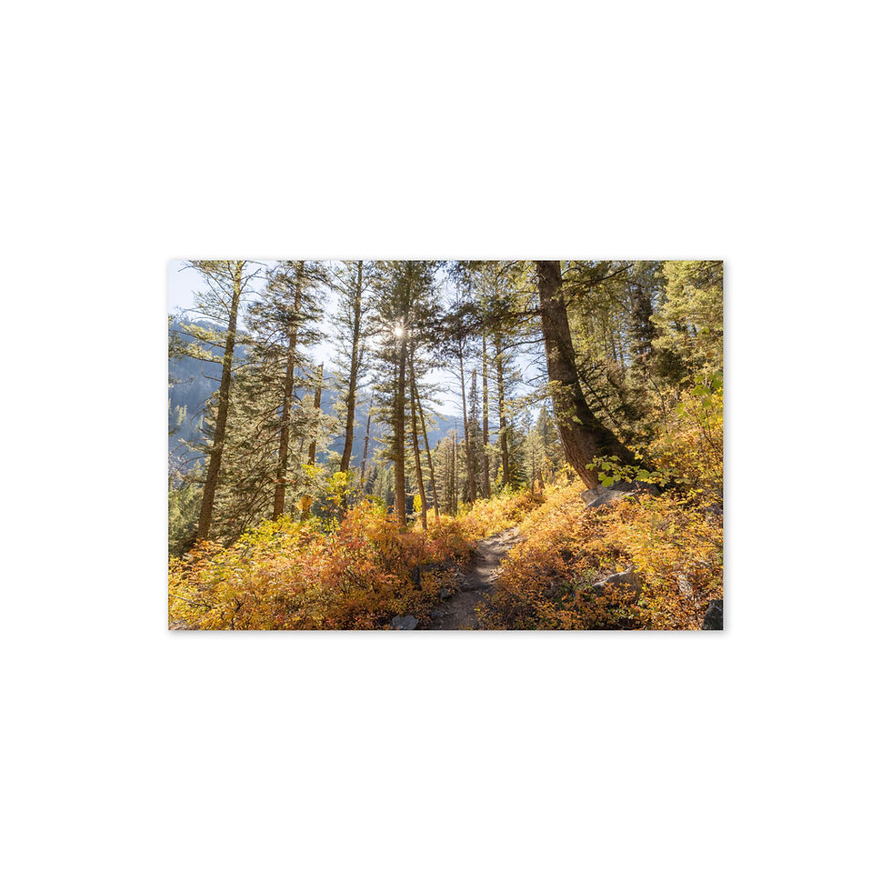 Thumbnail: "Wild Landscapes" Fine Art Greeting Card Set (10-Pack)