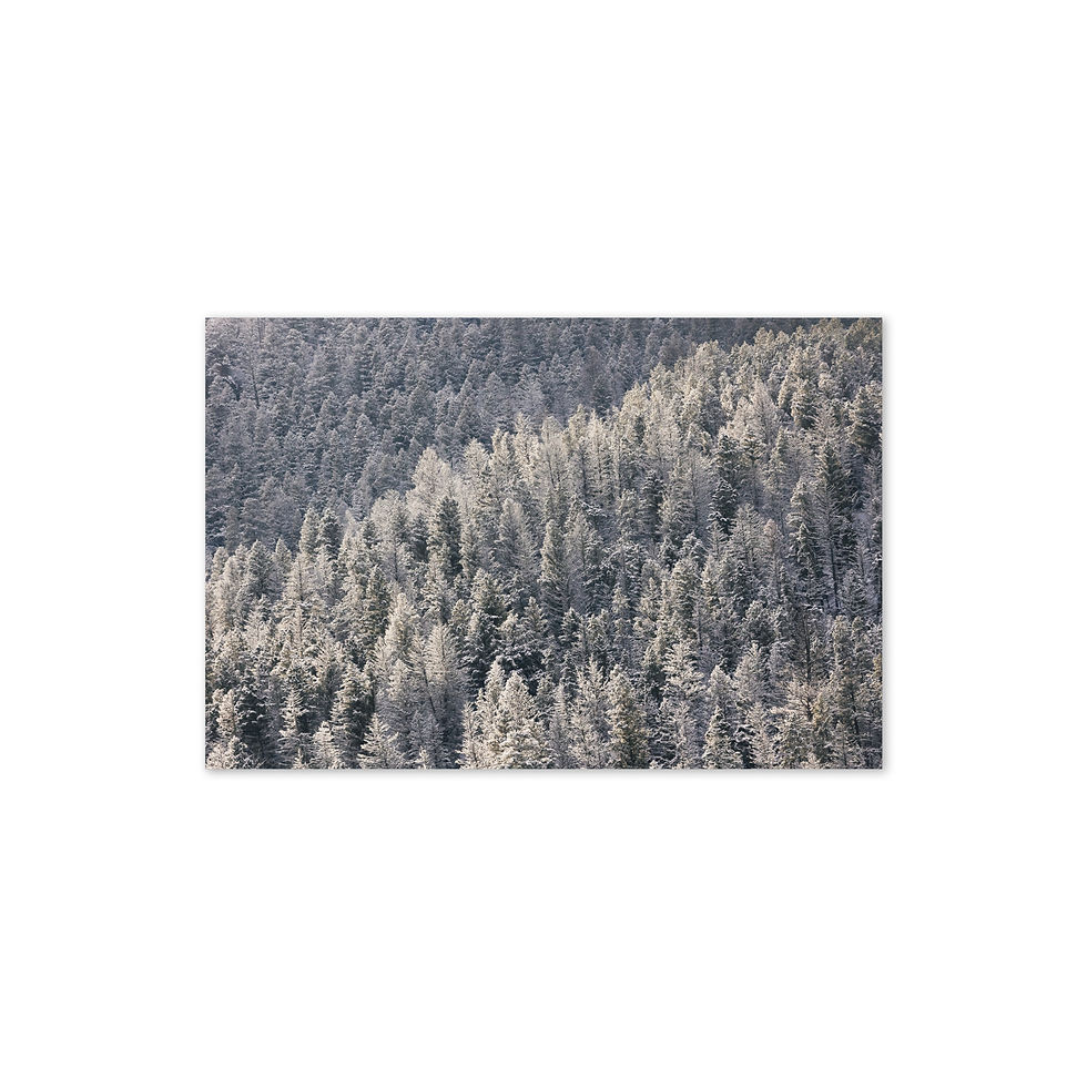 Thumbnail: "Wild Landscapes" Fine Art Greeting Card Set (10-Pack)