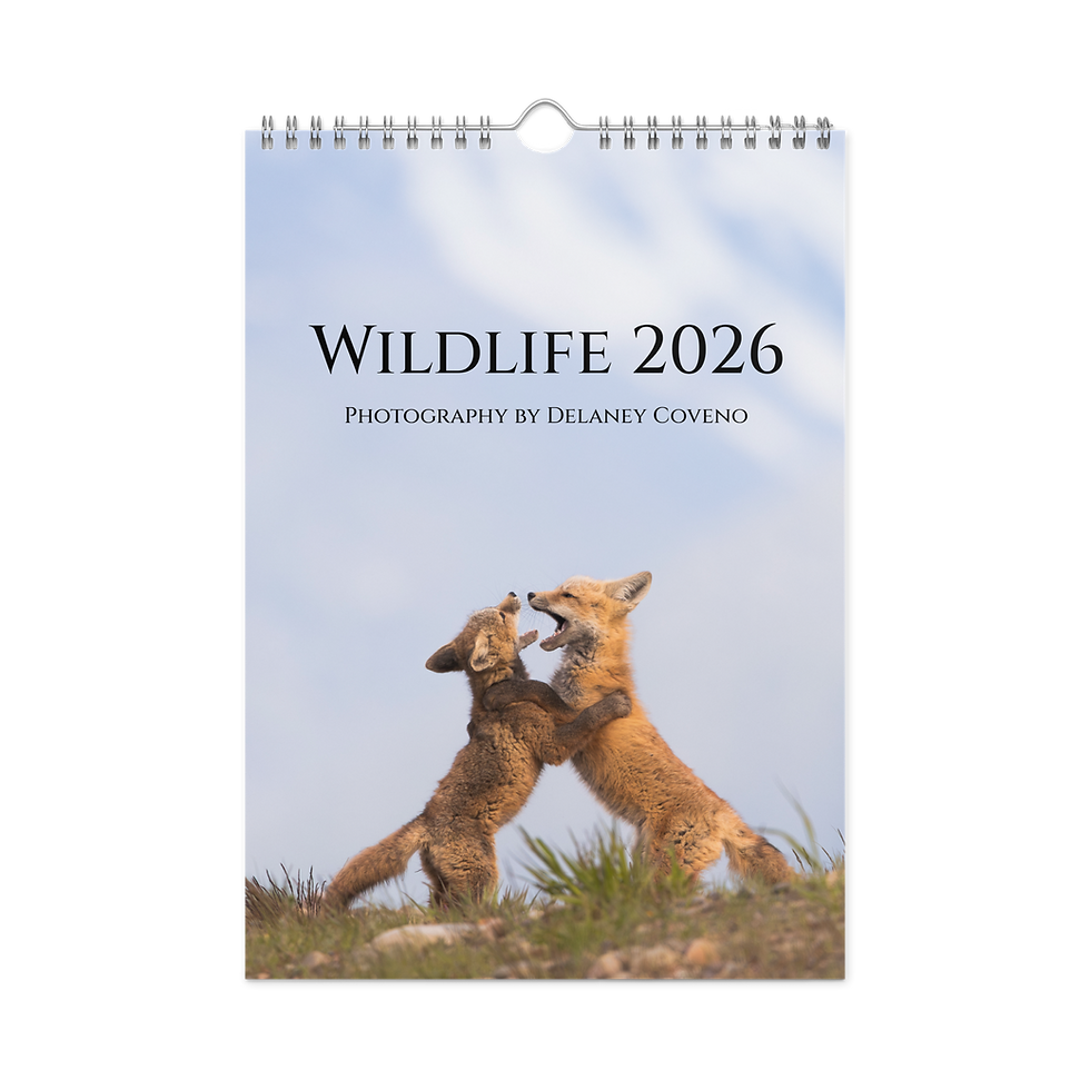 2026 Wildlife Calendar