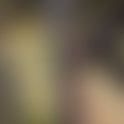 Spotting counterfeit chargers