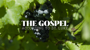 GOSPEL OF LUKE