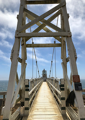 IMG_6656.jpeg