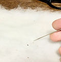 IMG_1868.jpeg