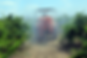 A tractor sprays crops with mist in a green field under a blue sky. Red tanks are visible, creating a productive, agricultural scene.