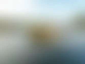 Mercury FourStroke Outboards, Available at FARMSUP Guyana