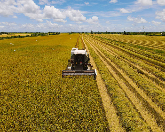 Jagger Rice Drone-2.jpg