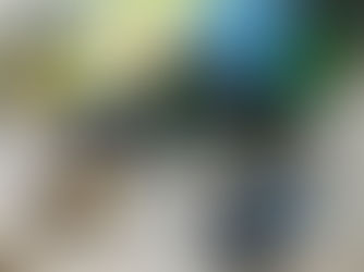 Genequip Supports Ogle Community Centre Cricket Club