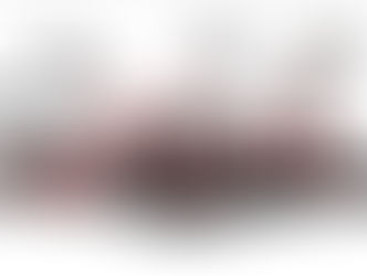 Genequip Partners with Manitou to Meet Guyana’s Growing Material Handling Needs