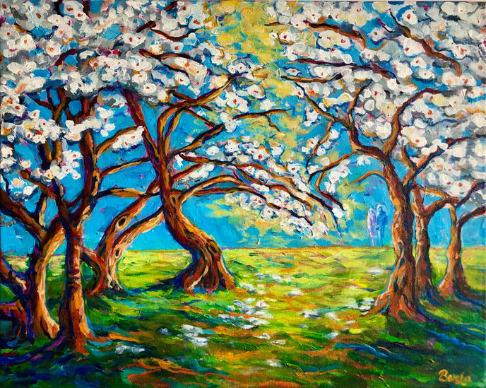 Beautiful almond trees with white bloomed flowers on green grass land.