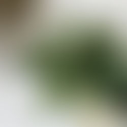 Signs of Adult ADHD You Might Be Overlooking | JB Wellness Dynamics