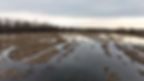 Semi Flooded Rice Field.jpg