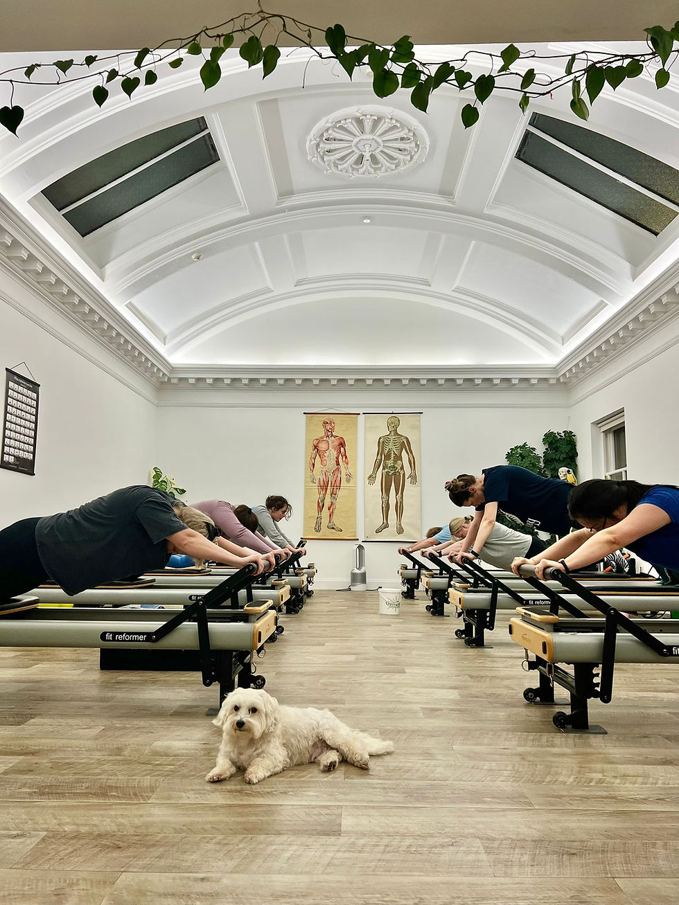 Sinterklaas The Kleinjan Way And Plane Delays