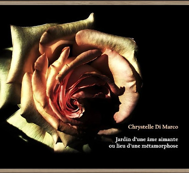 Capture d’écran_14-11-2025_8416_www.coollibri.com.jpeg