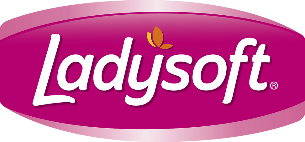 LOGO-LADYSOFT.png