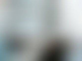 Welcome to The Pallet Plug, the First Website for Pallet Professionals to Connect