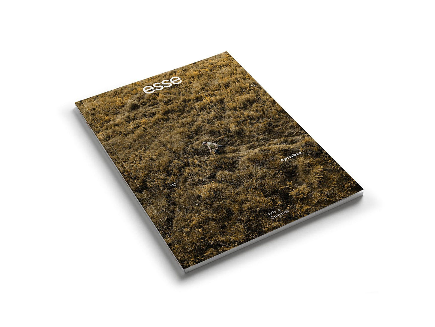  Frances Adair Mckenzie, Fonderie darling, Private Life, Paul Loefedo