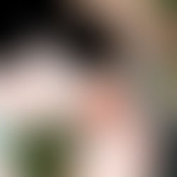 Illustration for restaurant wall art deco  謝謝儂 － 上海餐廳室內壁畫裝飾