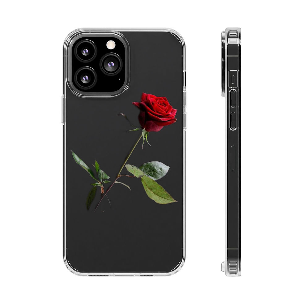 Thumbnail: Clear Cases