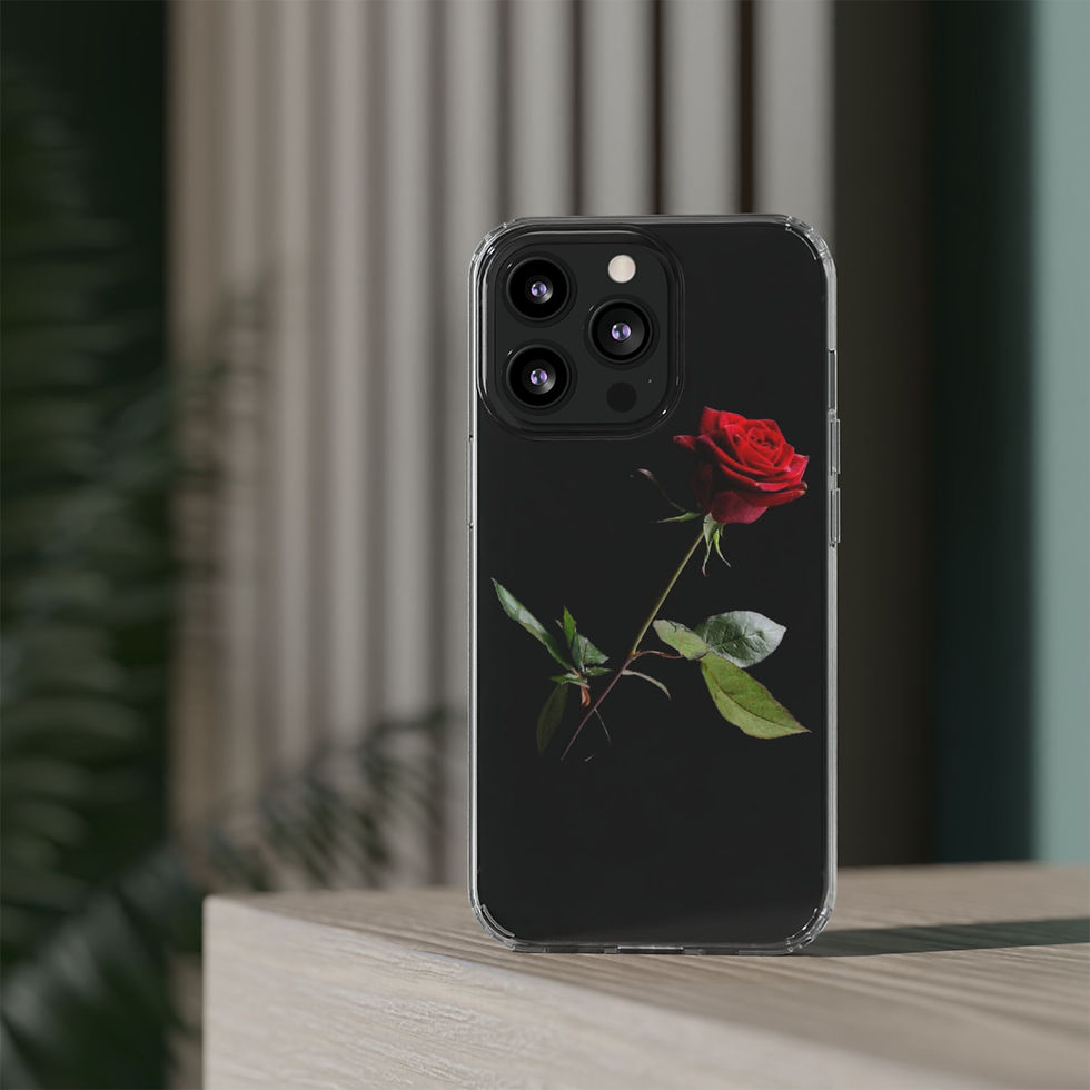 Thumbnail: Clear Cases