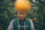 Taiwan Fruit Farmer