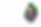 capa do site oficial.png
