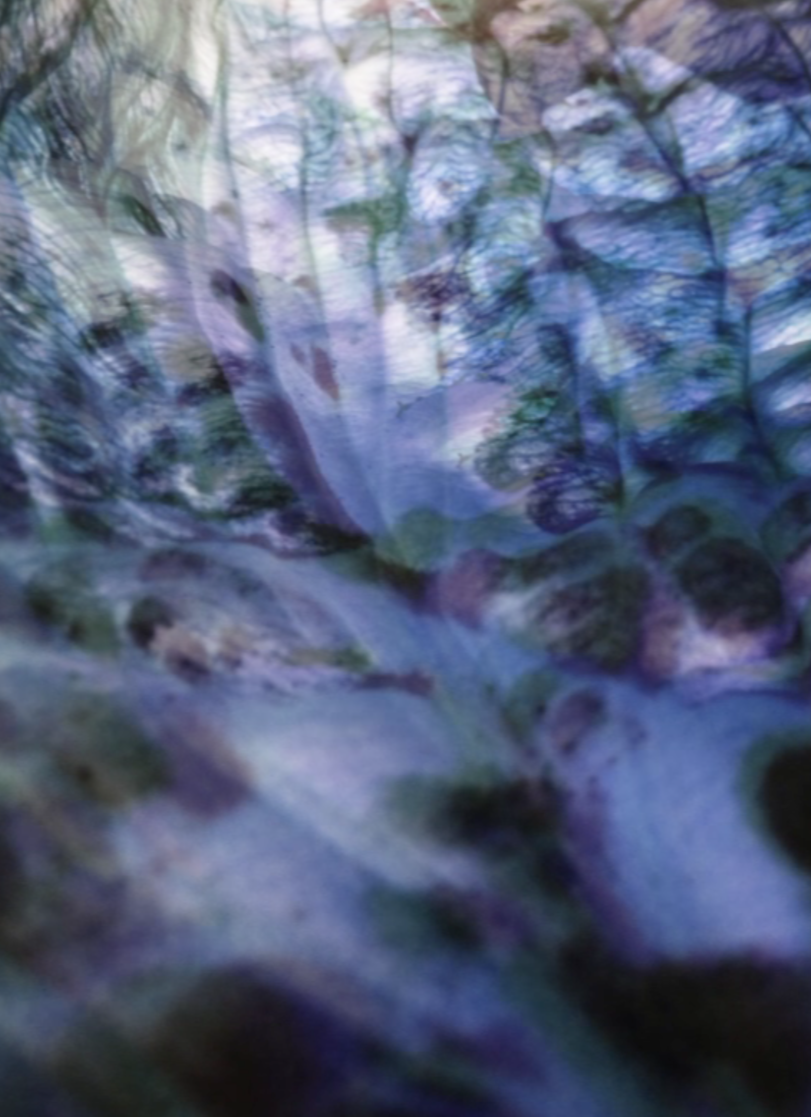 _ THE MATERIAL SENSORY LAB