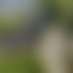 Milagro en Lourdes: Testimonio de Blanquita