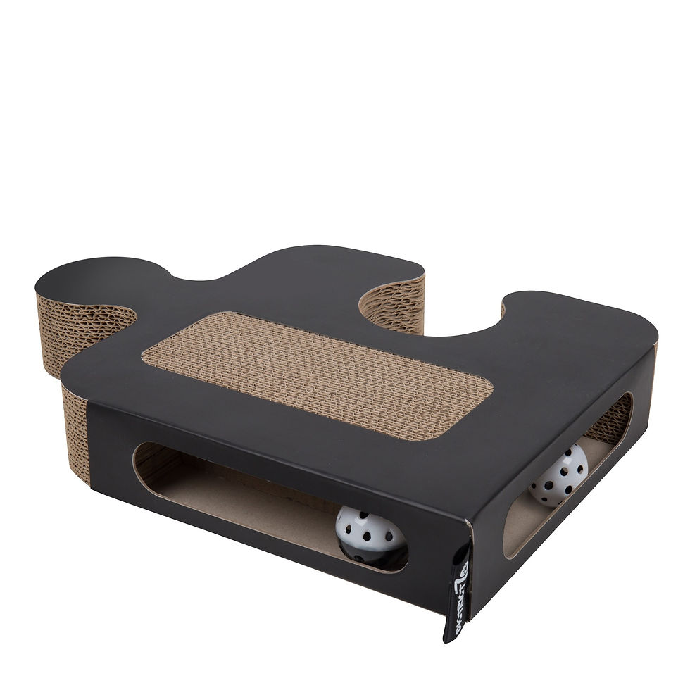 Thumbnail: Kattenspeeltje