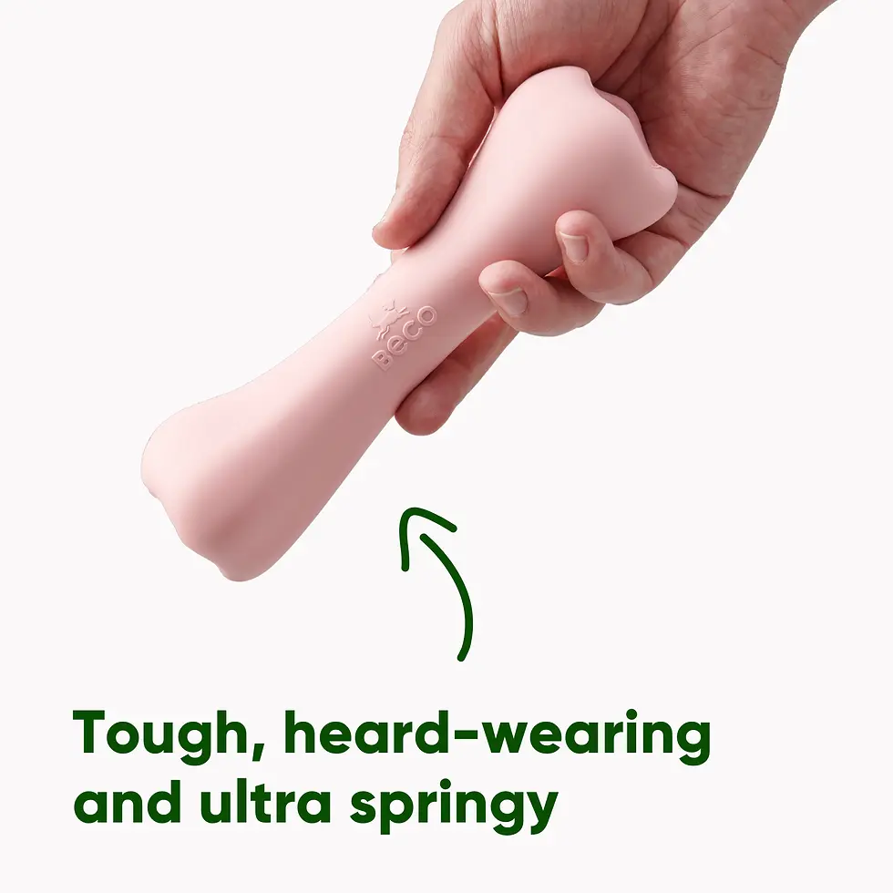 Thumbnail: Beco Treat Bone