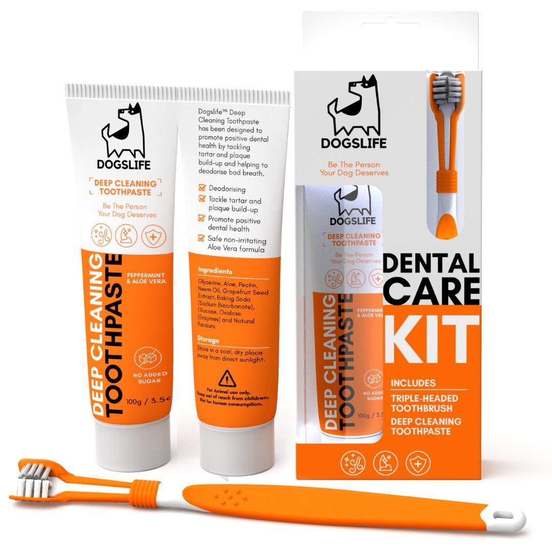 Dental Kit