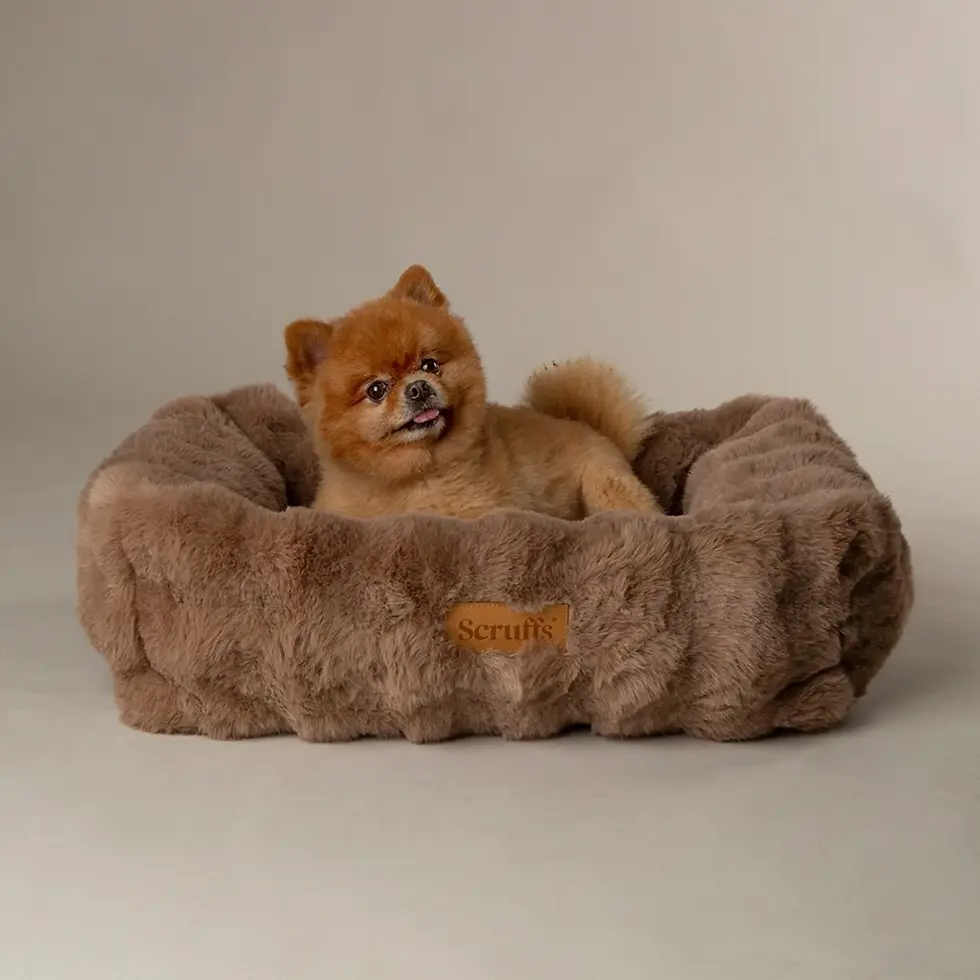 Thumbnail: Alpine Box Bed